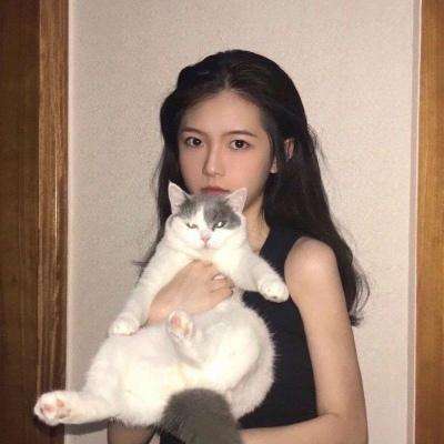 式神新纪元bt下载